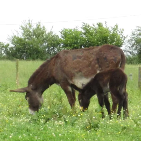 Casa Rural Barturen Landhaus