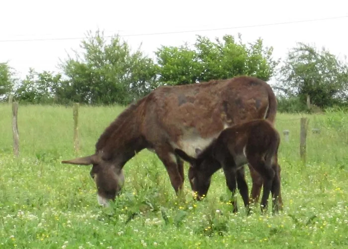 Casa Rural Barturen Hétvégi ház